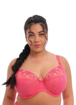 ELOMI Plunge Bügel-BH "Amorous" | Candy