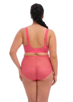 ELOMI Plunge Bügel-BH "Amorous" | Candy 9 ELOMI Plunge Bügel-BH "Amorous" | Candy -Miracle Woman Verkäufe Elomi Charley Candy BH und Slip Shop hinten 1280x1280